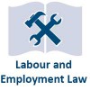 labour-and-employment-lawyer