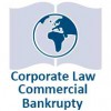 corporate-law-web-image